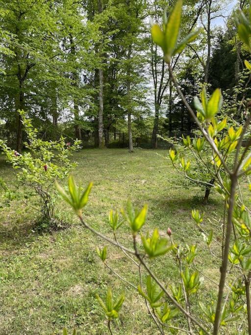 Gite Les Reculons Au Pied Du Lac Les Midoux Exterior photo
